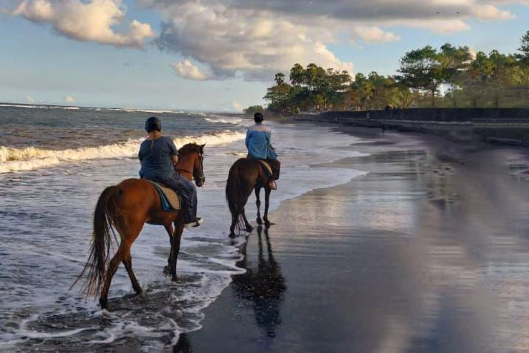 Horse Riding