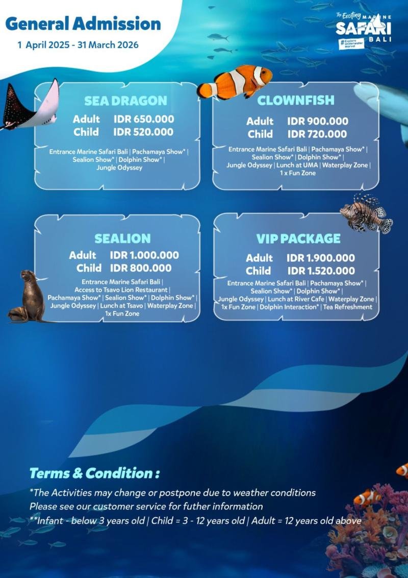 Marine Safari Bali Experience Packages