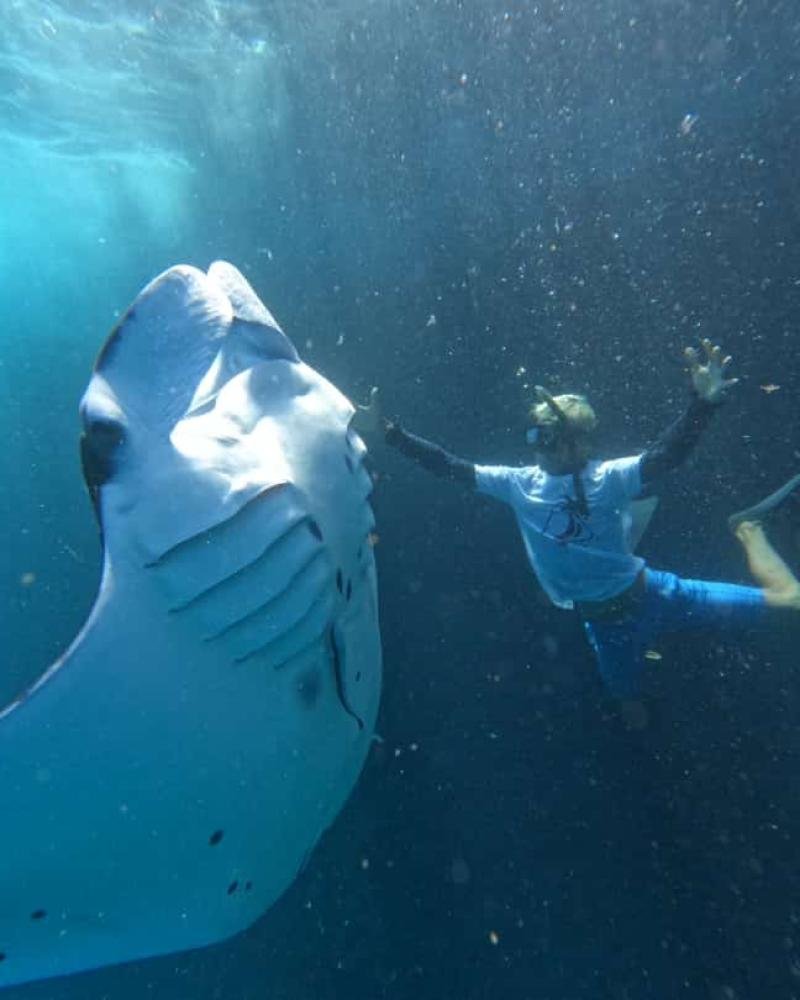Snorkling Package